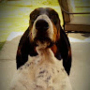 Meet your Posher, Aharon